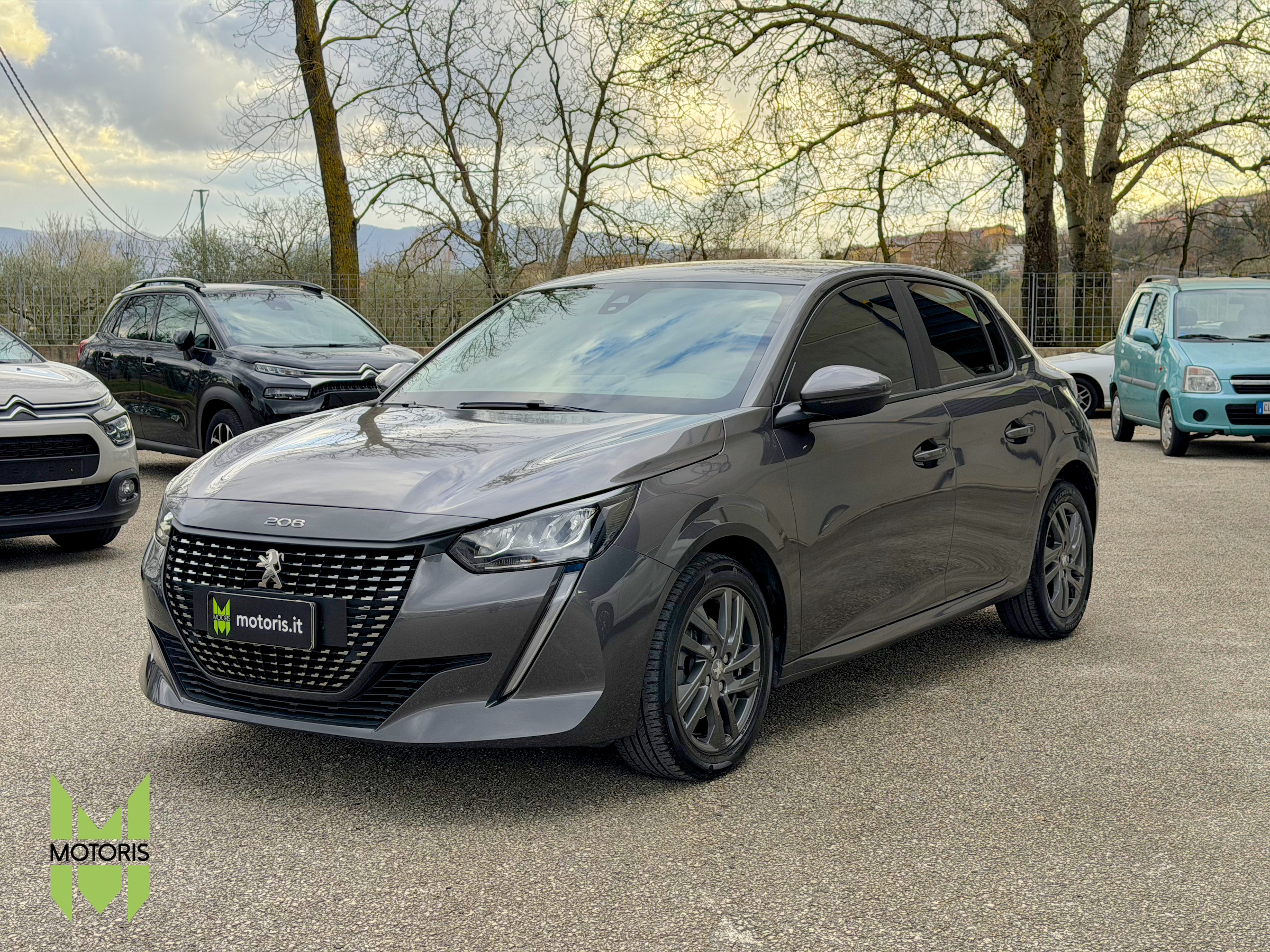 Peugeot 208 Bluehdi